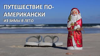 16.  НОЯБРЬСКИЕ КАНИКУЛЫ // ВСТРЕЧА С ДЕЛЬФИНАМИ // АВТОПУТЕШЕСТВИЕ