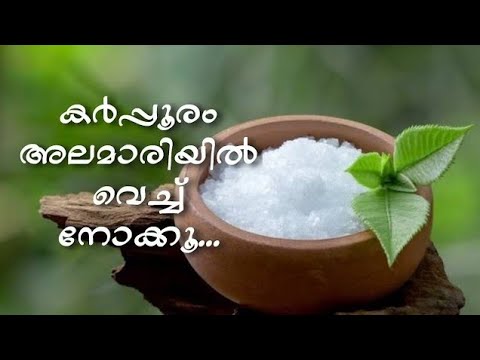What Is Karpooram In Malayalam