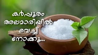 കർപപരതതനറ ഉപയഗങങൾCamphor Benefitsuses.
