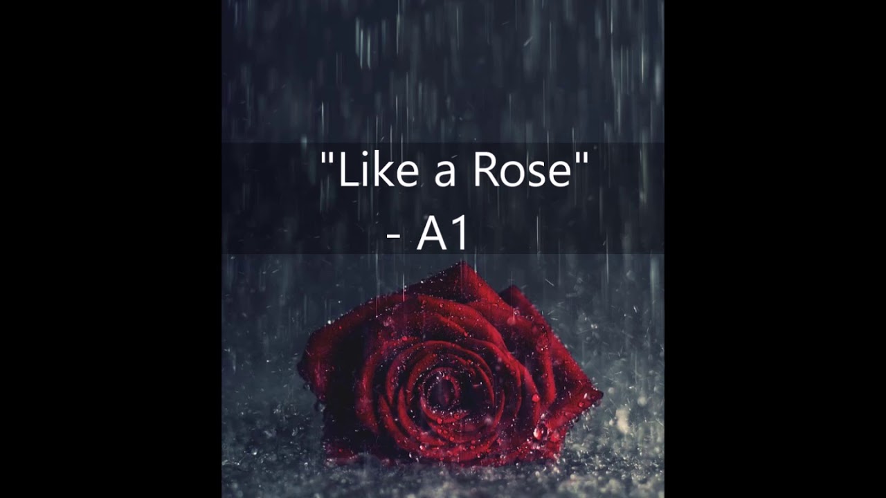 Like a Rose A1 with Lyrics YouTube