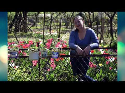 ტიტას პირველი მწარმოებლები წალენჯიხაში