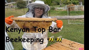 Checking for Swarm Cells #1   🇦🇺🐝 #australia #beekeeping #savethebees #bee #honeybee #beekeeper