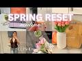 SPRING RESET ROUTINE 💐 spring cleaning, bucket list, fashion & cupshe haul!