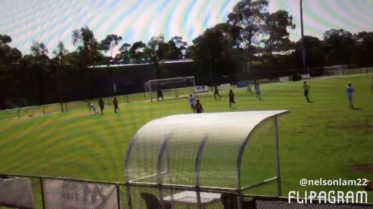 Nelson lam goals and assist