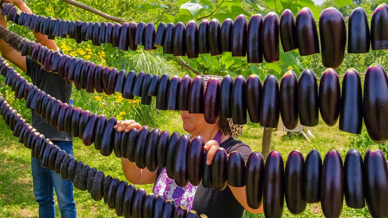 Как сушить баклажаны на солнце? 🍆 Органический салат и традиционный жареный рецепт