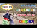 💋고하자 TV💋 고하자♡조팔자 자매 다래순 따기 실시간 방송(2021.04.21.)