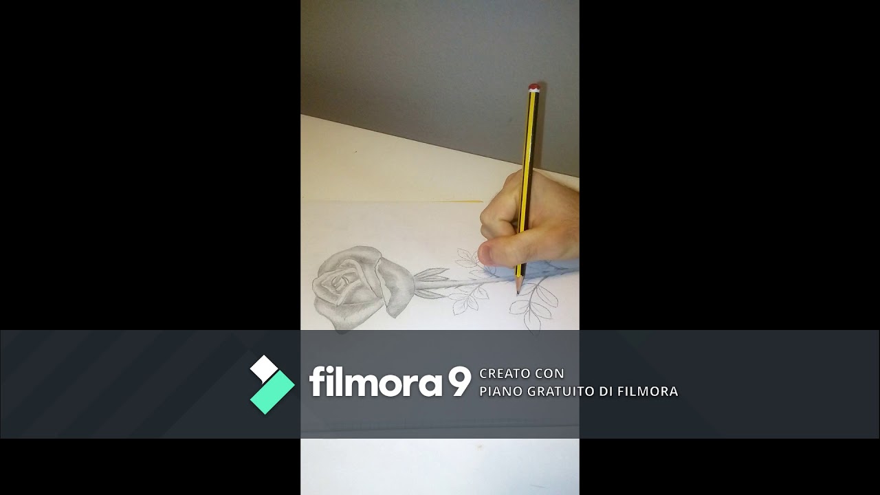 Come Disegnare Una Rosa A Matita
