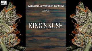 King's Kush | Best Buds Strain Spotlight