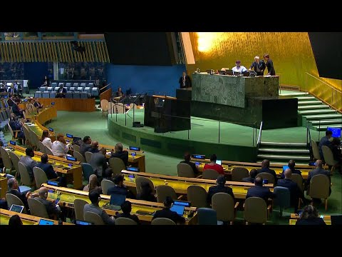 UN General Assembly