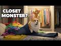cat in closet laundry chaos funny cat hide and seek mochi vs clothes the labyrinth