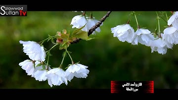 فديو HD سورة الحاقة القارئ أحمد الألمعي I قناة سلطان العواد