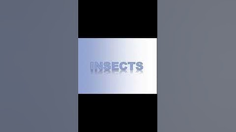 Class#4(Science) #Chapter#6(Insects)(Part 1)