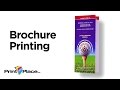 Brochure Printing