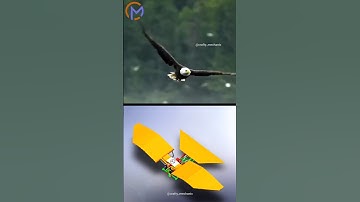Bird flying #mechanism 💡| #mechanical principles | #physics #simulation #solidworks #automation #3d