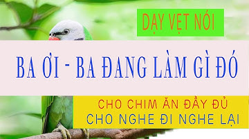 006. Dạy vẹt nói BA ƠI - BA ĐANG LÀM GÌ ĐÓ | Nghe mỗi ngày hiệu quả