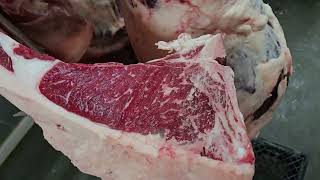 Section 9 2025 Beef Carcass Grading and Class