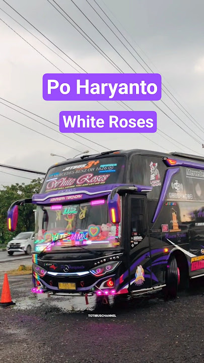 Basuri Slowmo Po Haryanto White Roses ||  Telolet Ken Arok Eka Persada Trans  #basurislowmo #basuri