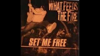 Watch What Feeds The Fire No Way To Live video