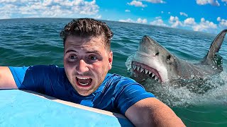 Download Lagu TENTEI ATRAVESSAR O OCEANO COM UMA PRANCHA E UM TUBARÃO APARECEU! MP3