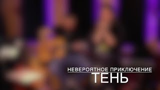 Невероятное приключение - Тень (Невстиле acoustic live)