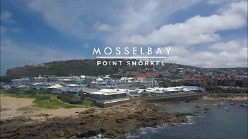 Snorkeling at Point, Mosselbay - SA Hotspots