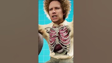 Học và Hỏi - Đừng bao giờ lại gần một con chuột túi #khampha #cothebanchuabiet #kienthuc #xuhướng