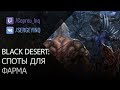 Black Desert: Где фармить? (в описании ссылка на новый гайд)
