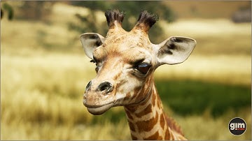 Giraffe animation preview