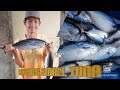 Young Fishermen | naka Jackpot ng small TUNA | haunting Season | Oriental Mindoro