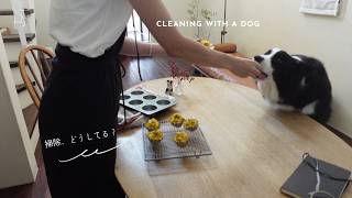 ボーダーコリーと暮らして3年　掃除どうしてる？How Do You Keep Your Home Clean After 3 Years with a Border Collie? screenshot 3