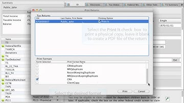 How to Print the Return using Canadian Tax Software TaxTron