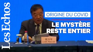 L’animal à l'origine du coronavirus « pas encore identifié », d’après l’OMS