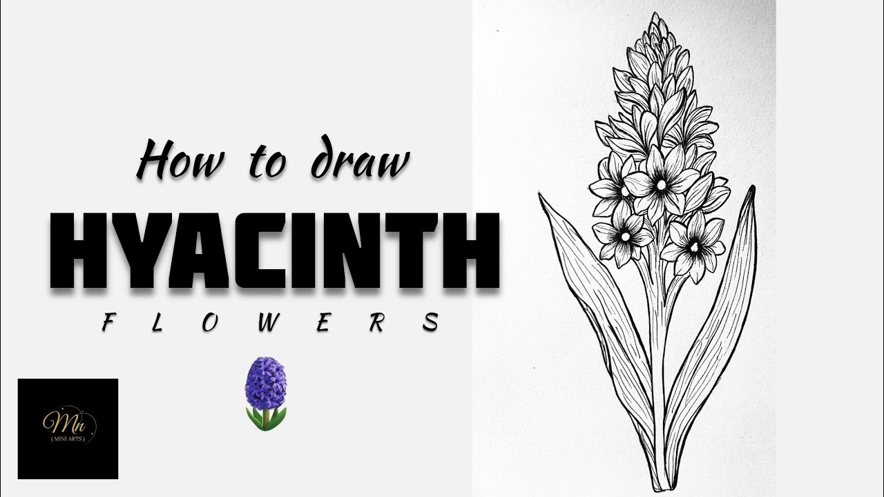 Hyacinth flowers Sketch || How to draw Hyacinth flower ? || Easy drawing ideas