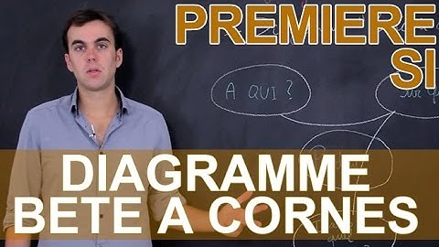 Diagramme bête à cornes - SI - Première - Les Bons Profs
