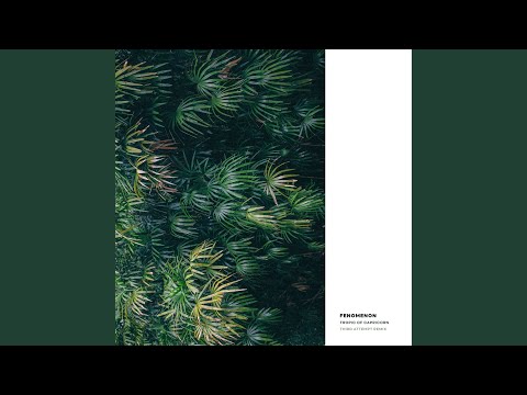 Regardez Tropic Of Capricorn (Third Attempt Remix) sur YouTube Regardez Tropic Of Capricorn (Third Attempt Remix) sur YouTube