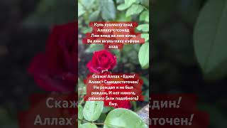 Сура Аль-Ихлас#коран#quran #love #рекомендации #shortsyoutube #