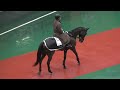 【誘導馬】高松宮記念2023day 出勤風景とロンゴノットが馬術を披露 現地映像