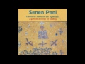 Senen Pani Ayahuasca Healing Songs Cantos De Sanación Del Ayahuasca FULL ALBUM Senen Pani Ayahuasca Healing Songs Cantos De Sanación Del Ayahuasca FULL ALBUM