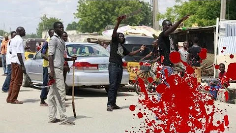 Vigilantes ambushed: 24 dead in Boko Haram militants attack in Nigeria