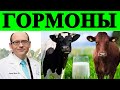Влияние Гормонов Молочных Продуктов  на Развитие Рака - Доктор Майкл Грегер