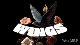 Codec,Sever - Wings