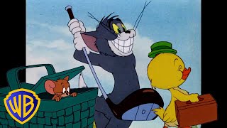 Tom y Jerry en Español 🇪🇸 | ¡La primavera está en el aire! 🌸🌳 | @WBKidsEspana​