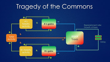 Tragedy of the Commons Systems Archetype