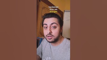 Visual brain circuits may be more hardwired than we thought 👁🧠