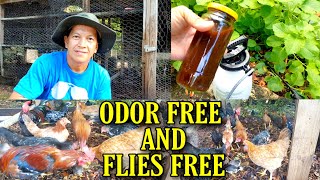 How to avoid smelly chicken coop odor and flies free/Paano maiwasan ang maamoy kulungan ng chickens