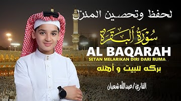 سورة البقرة (كاملة) - جديد و حصري القارئ عبد الله شعبان - Surah Al-Baqarah by Abdullah Shaaban