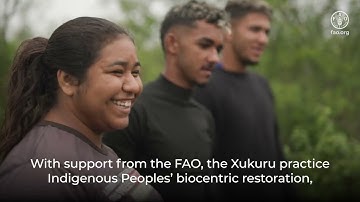 Forest monitoring and Indigenous-led restoration in Brazil