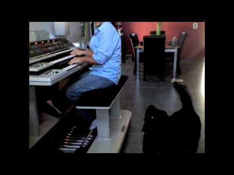 Weezie, my dog, Sings with the Yamaha Electone Organ