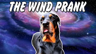 Vlog Raw The Wind Prank