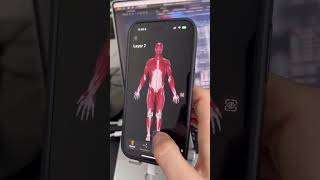 🔥Система слоёв в грядущем обновлении Easy Anatomy 3d | Анатомия человека